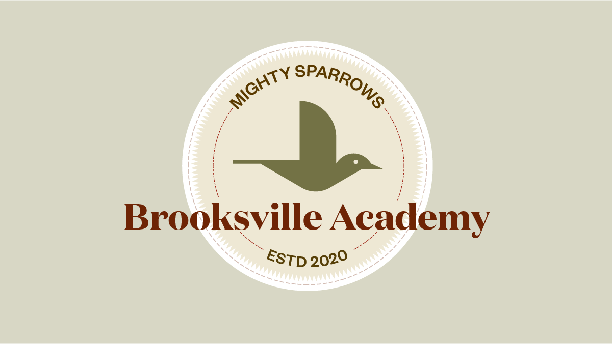 Designed Brooksville Academy logo